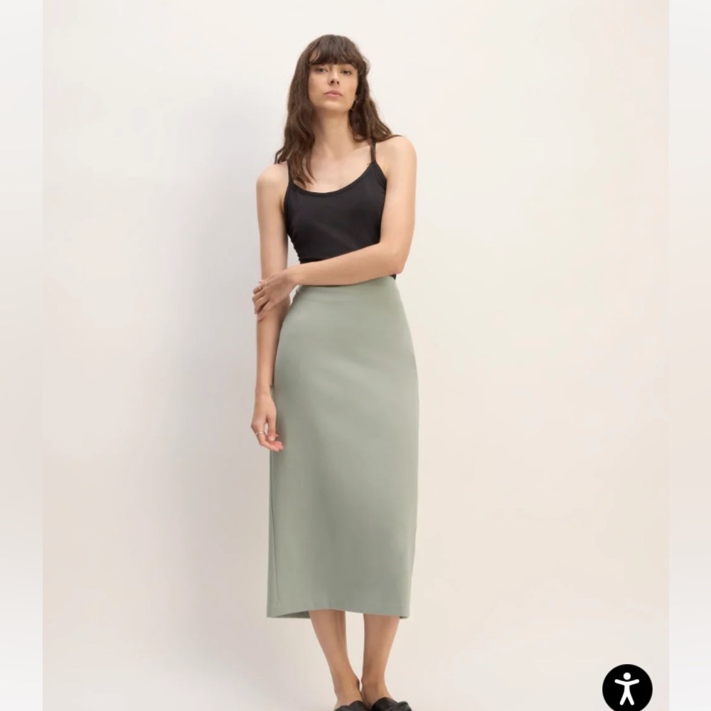 Everlane dream maxi skirt